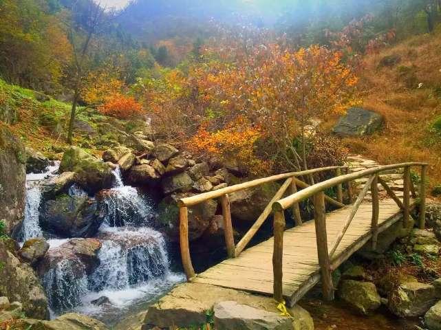 破壁机哪个牌子好?专业测评师真人实测!